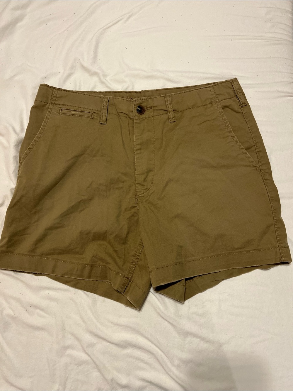 American Eagle Outfitters Men's Flat-Front Chino Shorts in Olive